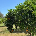 Finca Sa Cova De Mallorca