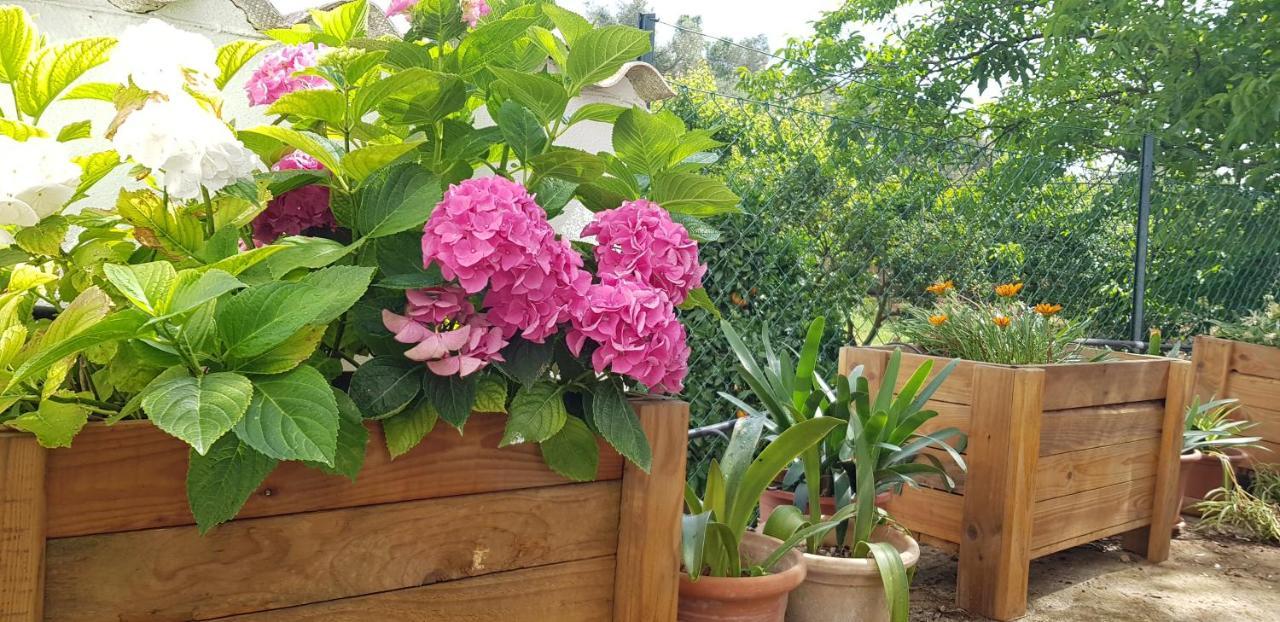 Sa Cova De Mallorca Ferienhaus Sencelles