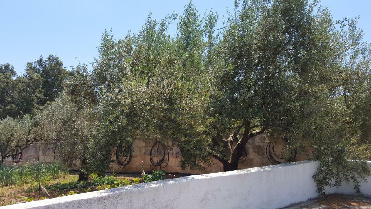 Sa Cova De Mallorca Sencelles