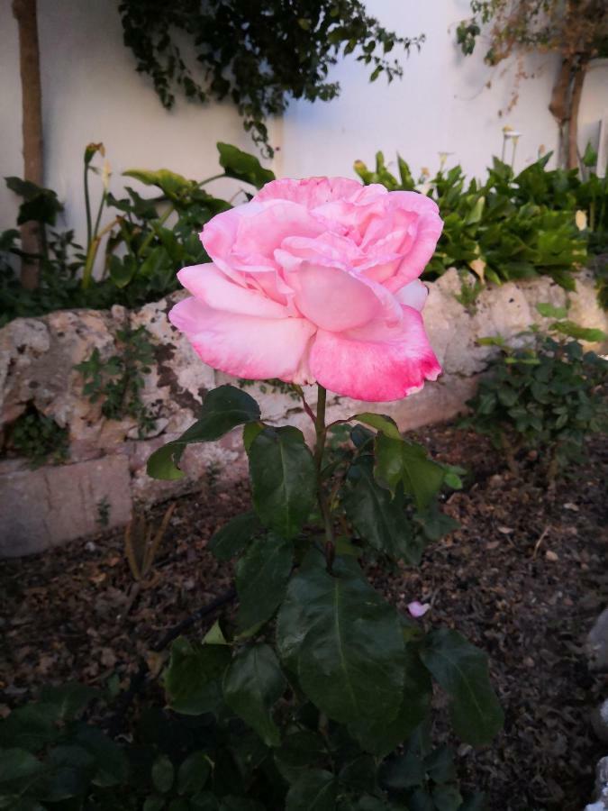 Sa Cova De Mallorca Ferienhaus *