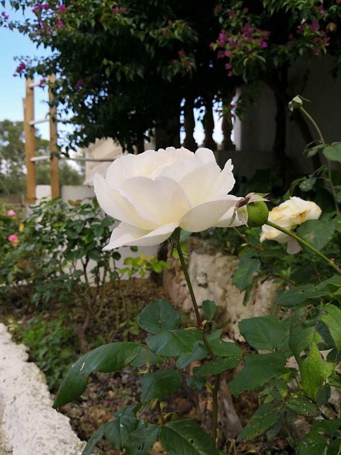 Sa Cova De Mallorca *