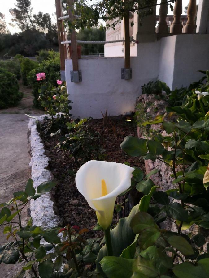 Sa Cova De Mallorca Sencelles