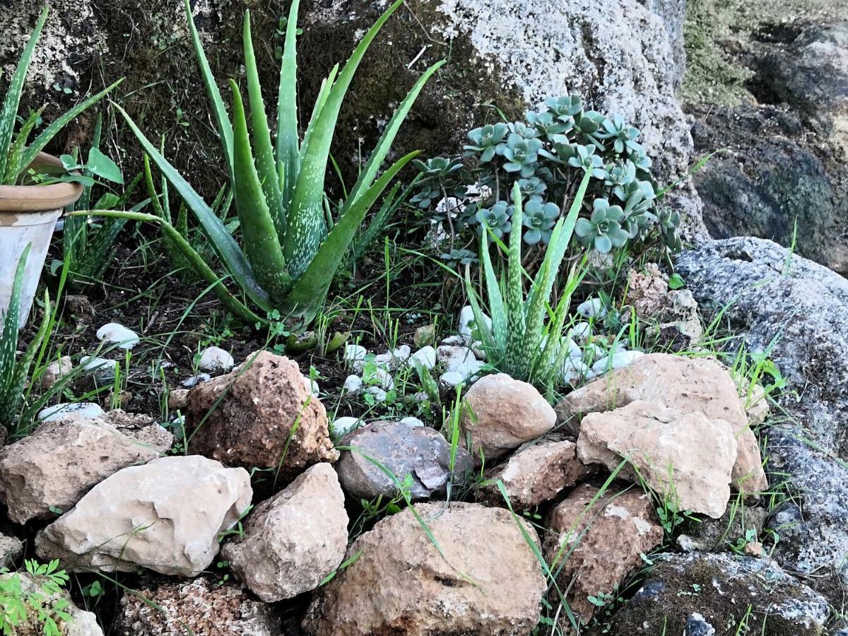 Sa Cova De Mallorca Ferienhaus